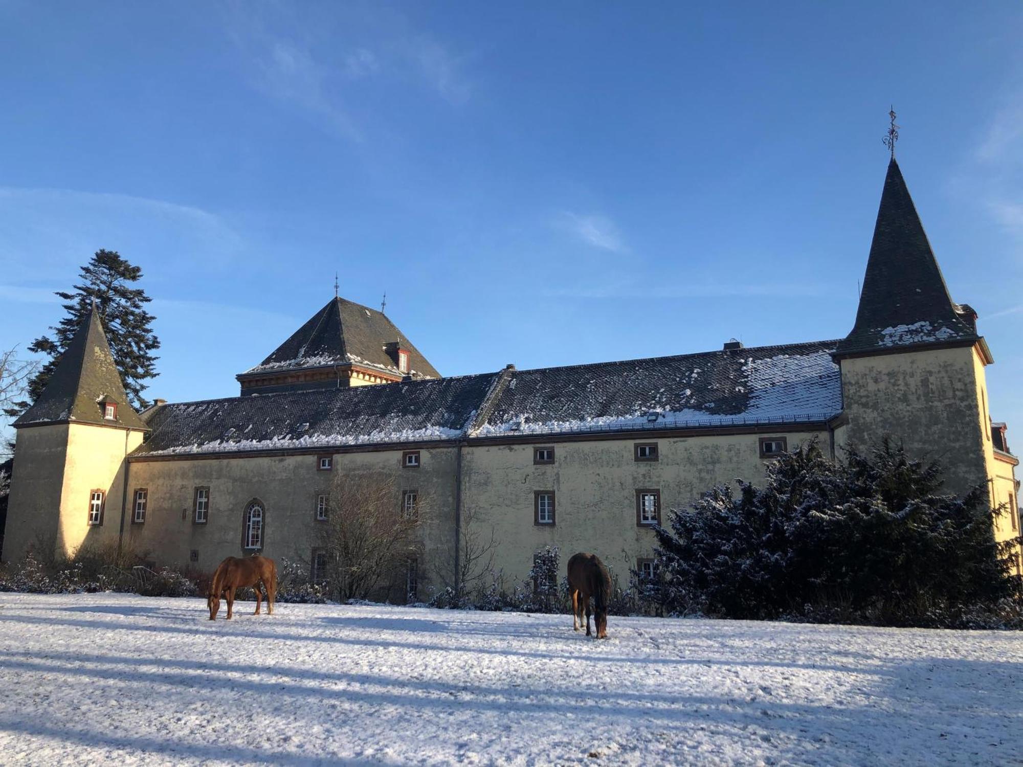 L' Extravagante Im Garten Von Schloss Schmidtheim Exterior foto